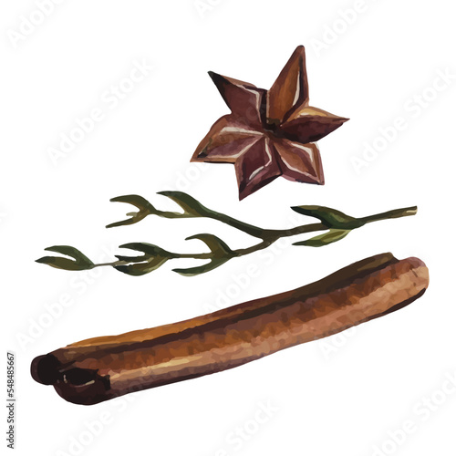 Vector cinnamon sticks, cloves and herbs on a white background