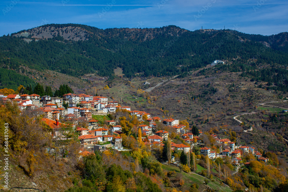 view of iconic village of Metsovo with traditional house, Epirus, Greece