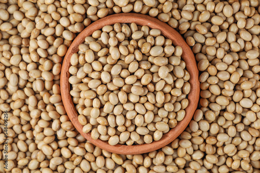 Fototapeta premium Himalayan Navy Beans (Pearl haricot beans, White Rajma). Haricot Beans in Pottery