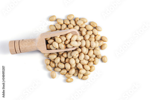 Himalayan Navy Beans (Pearl haricot beans, White Rajma). Haricot Beans with wooden spoon