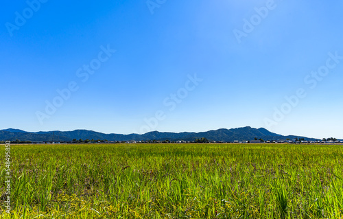 どこにでもある秋の草原と青い空の景色 