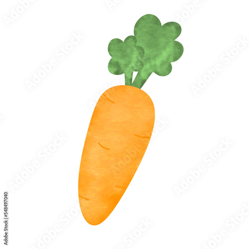 carrot isolated on white