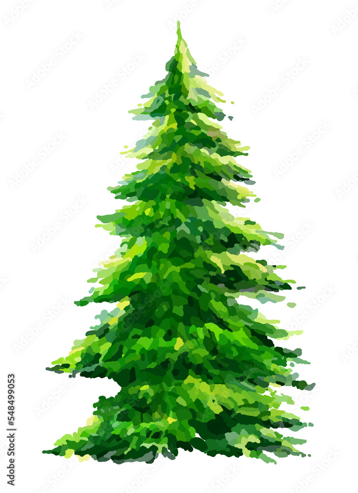 Obraz premium green christmas tree