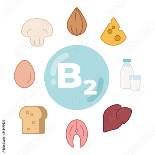 Foods rich in vitamin B2. Poster vitamin B2 in the center with food icons around it: almonds, cheese, milk, liver, etc. Vector illustration