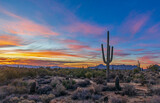 Lone  Saguaro Cactus At Sunrise Time In Scottsdale Arizona