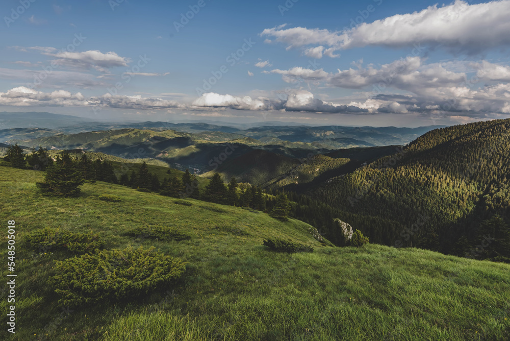 Panoramic View of Summer Kopaonik Mountains