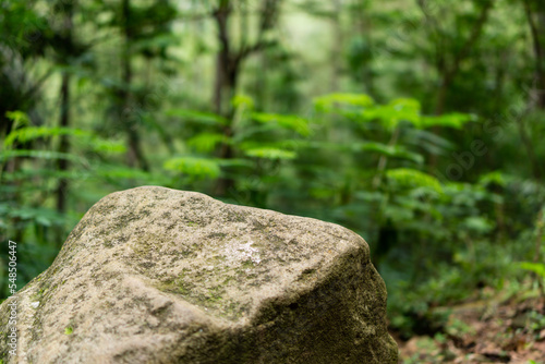 Yellow brown rock as foreground object in shallow depth of field focus with tropical rain forest jungle full of trees and leaves as blurred bokeh background. Stone with moss and blurred dry leaves.