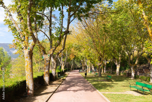 Laguardia Spain trees on path on walk around the hilltop village in Rioja region © acceleratorhams