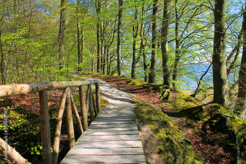 Wooden old bridge connecting a footpath in a spring forest with light green new leaves on the trees and the blue sea in the background