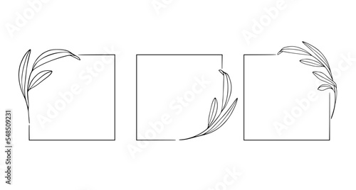 Line art Sprig Frame on white background. Eucaliptus border outline design. Border leaves frame collection