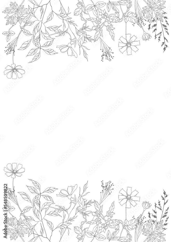 Wildflowers in a frame. Vector design templates in a simple modern style with a place to copy text, flowers and leaves - backgrounds and frames for wedding invitations, wallpapers for social networks.