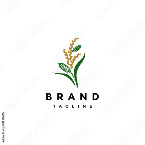 Sesame Plant Between Rice Plants Logo Design. Agricultural Technology Logo Design With Illustration Of Rice And Sesame In One Plant.