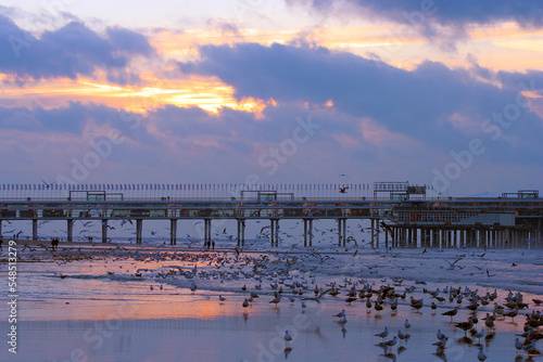 Quadro em tela Beach and pier with seagulls in the famous resort