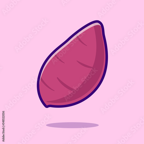 hand drawn illustration of an sweet potato