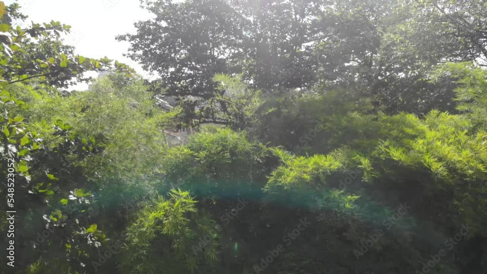 View of houses near green trees during a daytime View of houses near green trees during a daytime