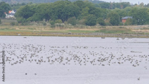 Wallpaper Mural Getteron Wetlands, One of Northern Europe finest bird sites, Establishing shot Torontodigital.ca