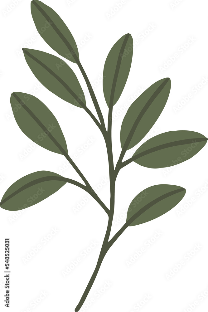 Fototapeta premium Christmas flower botanical clipart illustration in flat cartoon style. Merry Christmas and Happy New year floral evergreen element, isolated