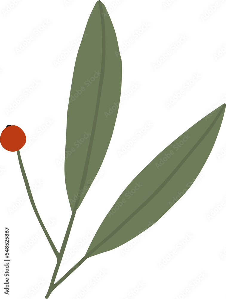 Obraz premium Christmas flower botanical clipart illustration in flat cartoon style. Merry Christmas and Happy New year floral evergreen element, isolated