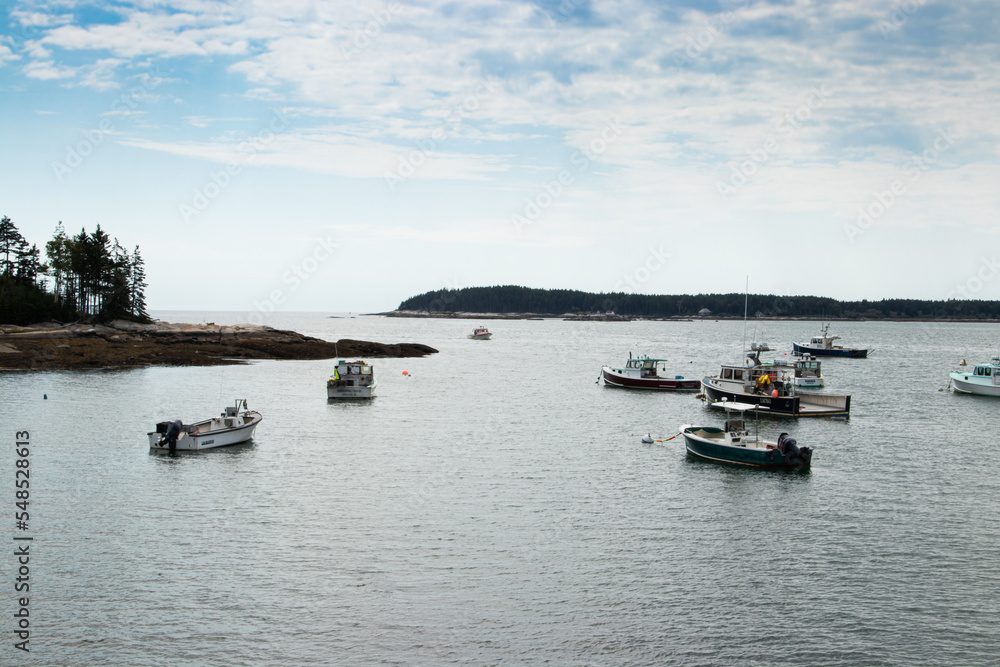 fishing boats moored in the bay