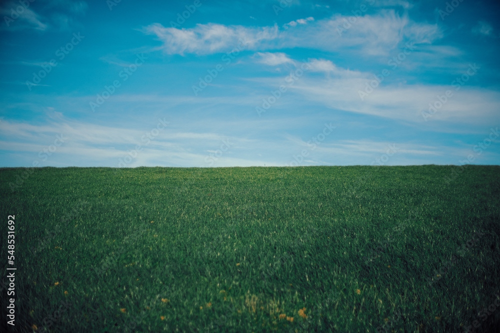 meadow on dike against blue sky