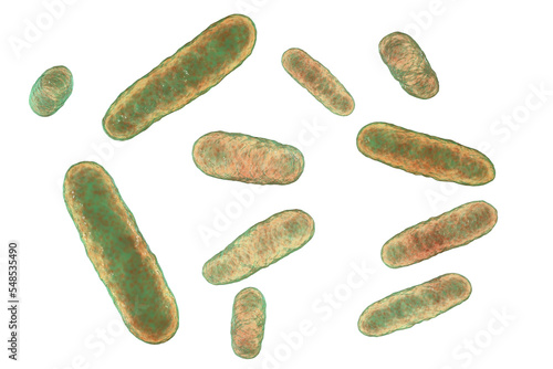Bacteria Eikenella, illustration