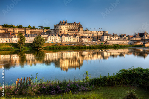 The City and Castle of Amboise by the River Loire  France