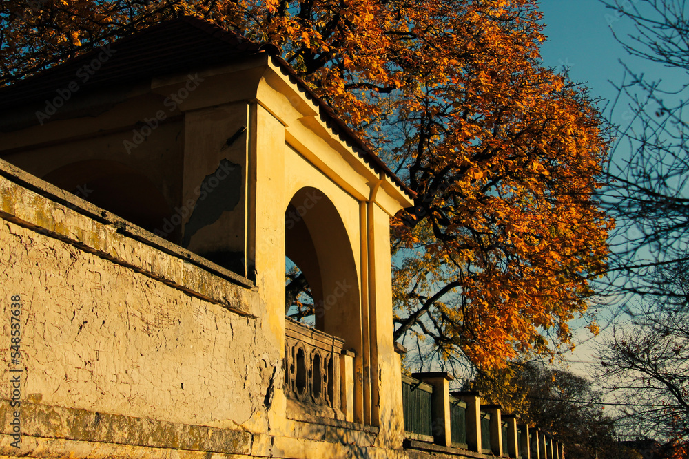 Fototapeta premium wall