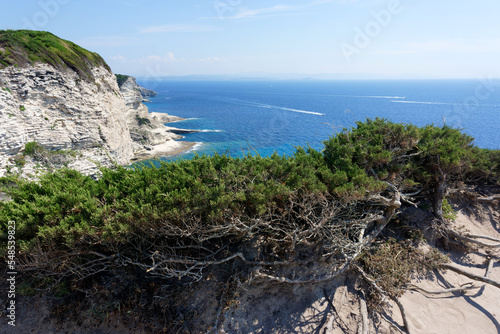 Pertusato cape in Corsica island photo