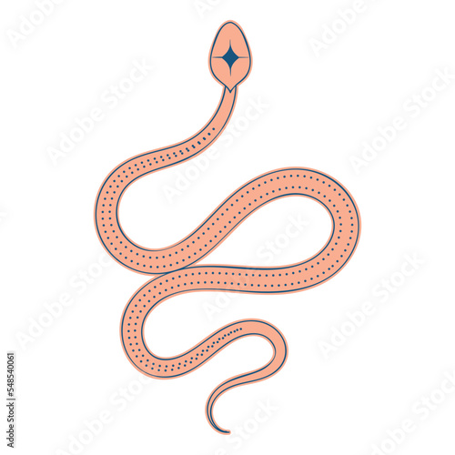 Isolated snake animal esoterism sketch icon Vector illustration