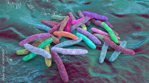 Bacteria Mycobacterium tuberculosis, the causative agent of tuberculosis photo