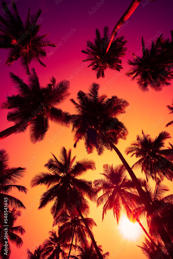 Colorful tropical sunset with coconut palm trees silhouettes and shining sun