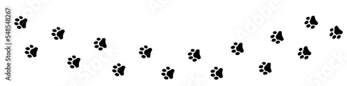 Paw dog on white background. Leg dog or cat. Simple illustration of puppy leg.