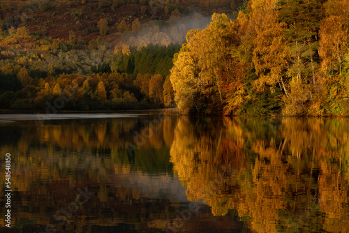A view of the colourful trees in Autumn at perthshire, Scotland.