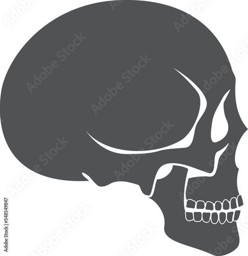 Human skull side view. Anatomy black icon