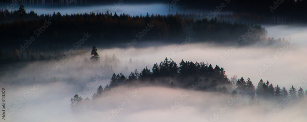 Polskie wzgórza i góry otoczone mgłą - obrazy, fototapety, plakaty 