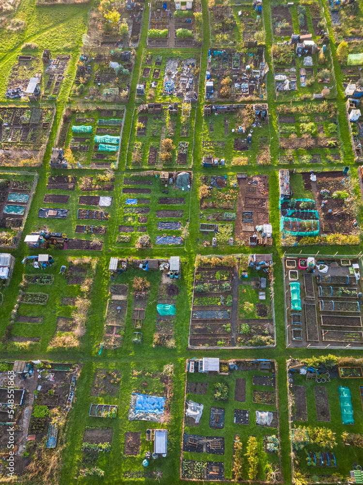 Aerial view, vertical shot, of pattern of allotments and vegetable raised beds