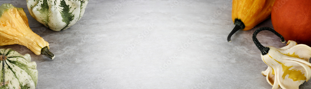 Fototapeta premium Variety of decorative gourds and squashes background banner with copy space. Organic vegetables.