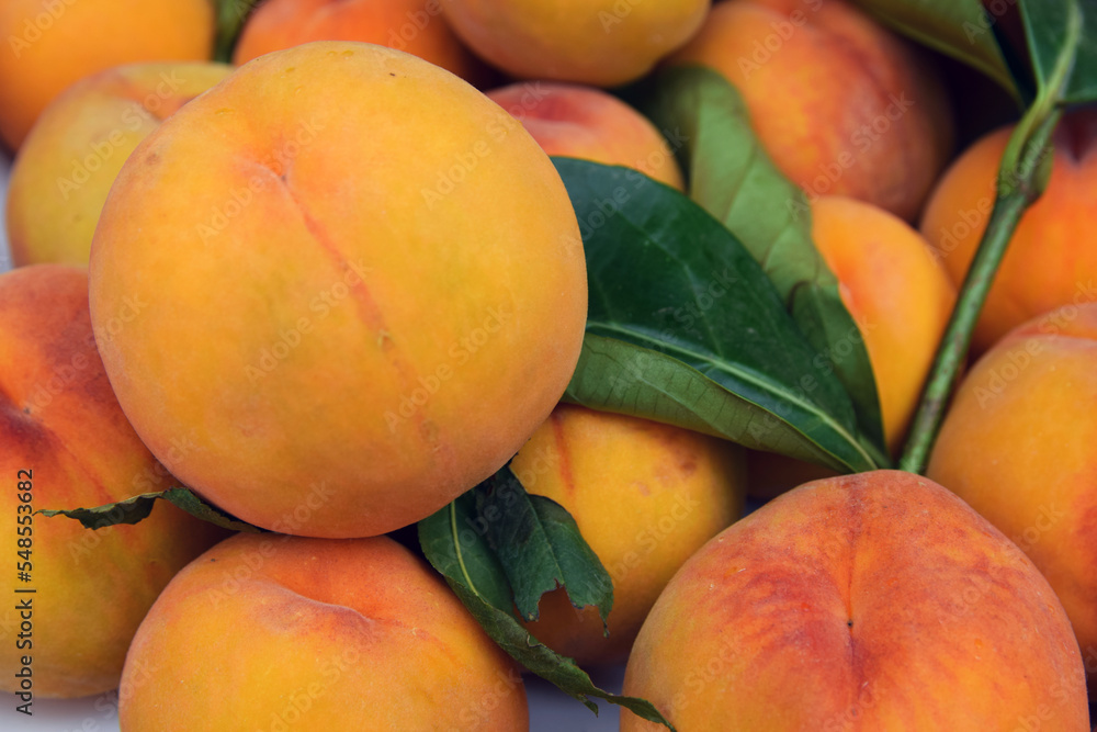 closeup of a pile of ripe peaches closeup of a pile of ripe peaches