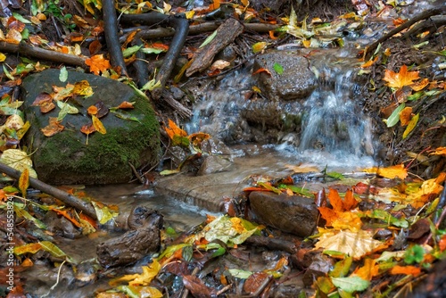 waterfall in autumn forest