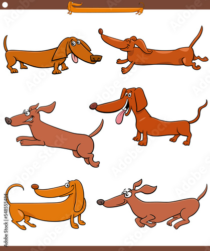 cartoon dachshunds purebred dogs animal characters set