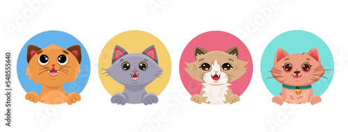 Cat face portrait set of different breeds. Funny kitten kawaii avatars for social media profile, baby printing, children birthday design. Vector cartoon illustration