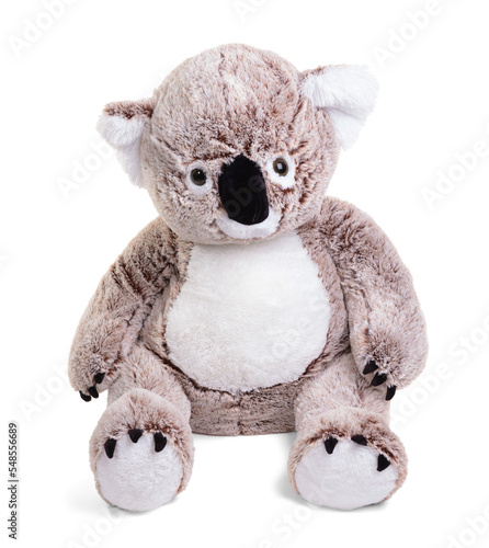 Photography Large plush koala toy isolated