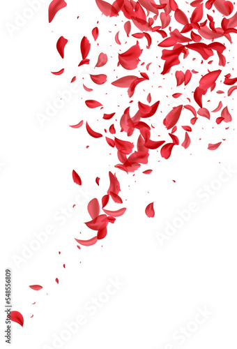 Beautiful Floral Tender Vector White Background.