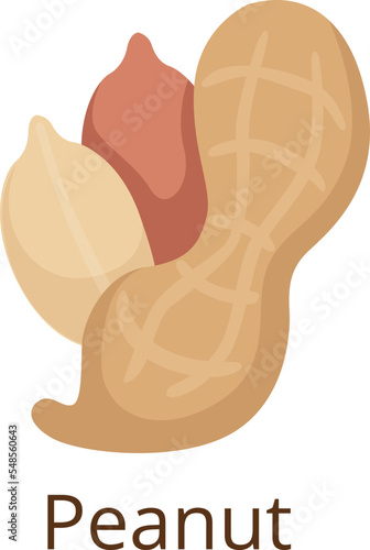 Peanut icon. Tasty raw seed. Organic nut