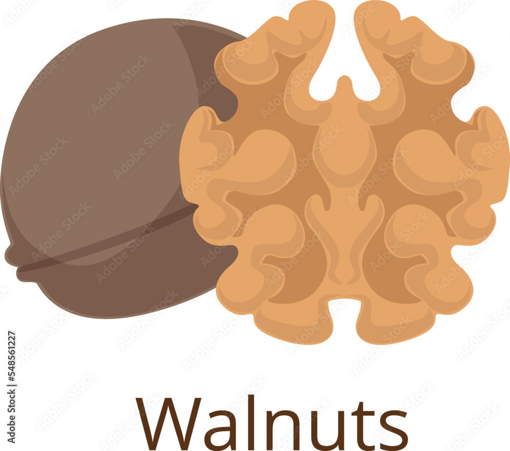 Walnut icon. Healthy organic nut cartoon symbol Walnut icon. Healthy organic nut cartoon symbol