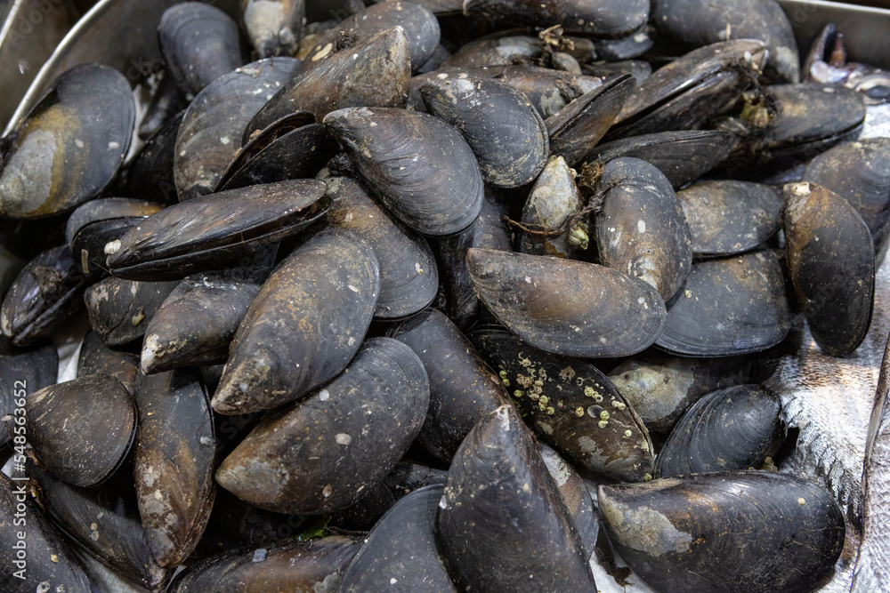 Clams at the Central Market (Mercado Central) in Santiago de Chile Clams at the Central Market (Mercado Central) in Santiago de Chile