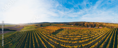Fototapeta Naklejka Na Ścianę i Meble -  Weinviertel region in Austria. Aerial drone view of colorful vineyards fields in autumn.