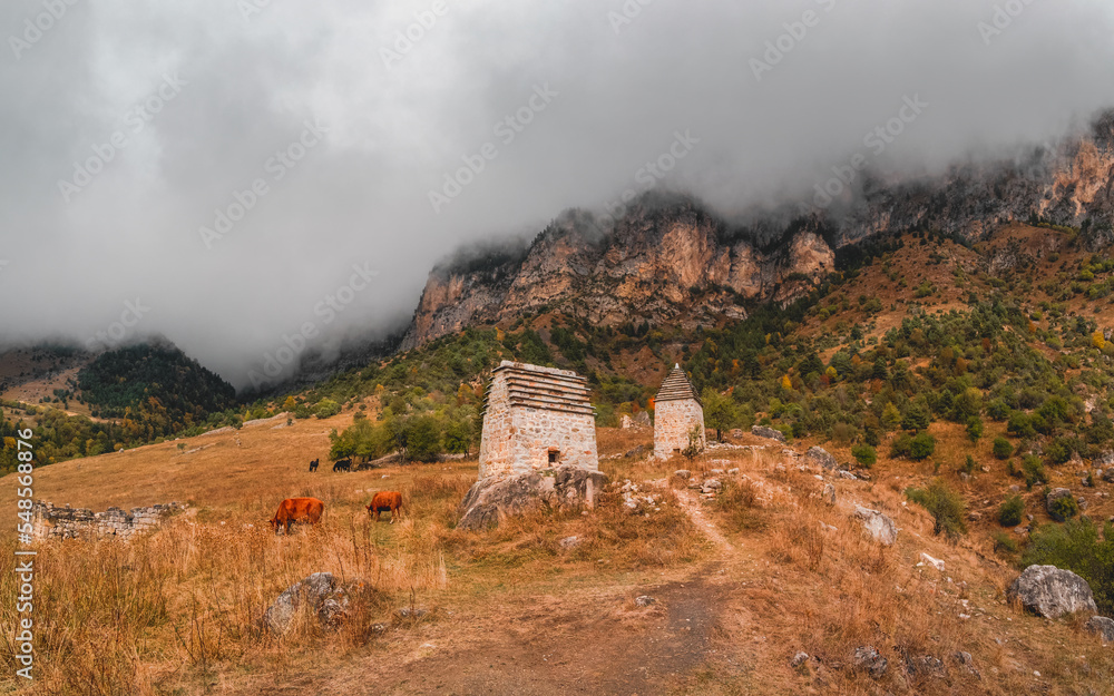 Majestic ancient tower buildings of Kelly and old family crypts in the Assinesky Gorge of mountainous Ingushetia, one of the medieval castle-type tower villages, located on the mountain range, Russia