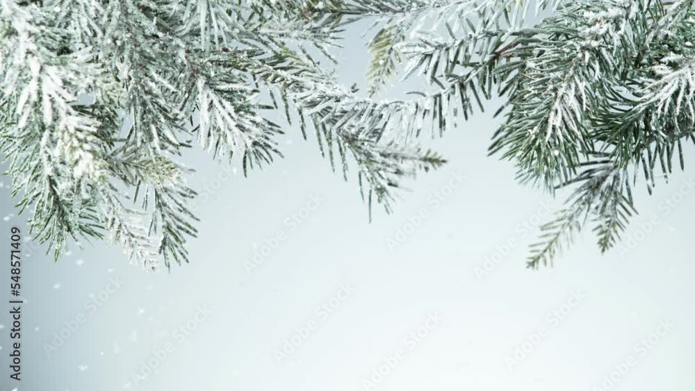 Super slow motion of falling snow with fir branch decoration. Filmed on high speed cinema camera, 1000 fps. Super slow motion of falling snow with fir branch decoration. Filmed on high speed cinema camera, 1000 fps.