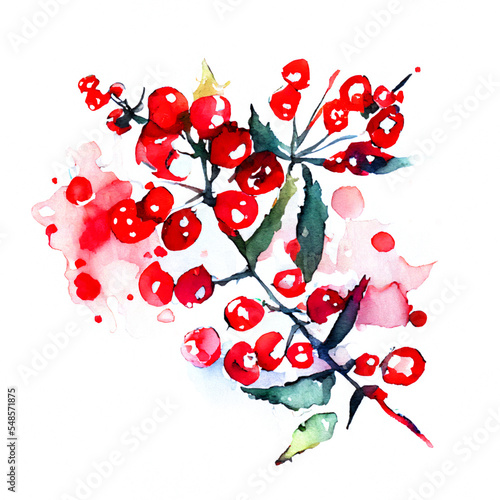 Watercolor Christmas hand-drawn illustration.  Red berries. 